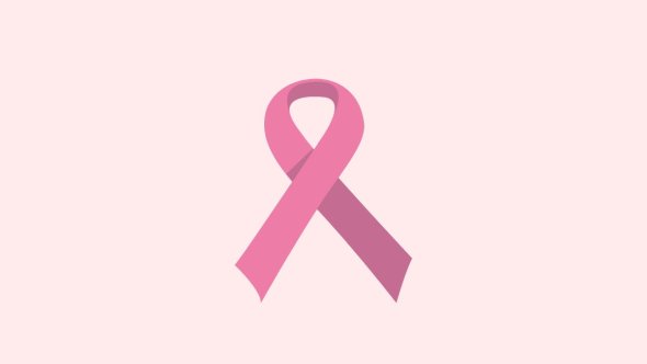 Vignette Octobre Rose 2024